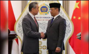 China, Indonesia discuss expanding defence cooperation