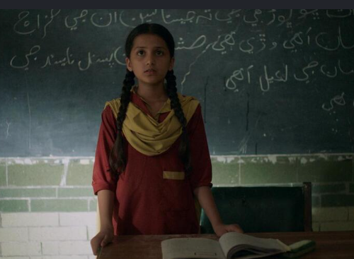 Filmmaker moves SHC against ban on screening of Ghost School