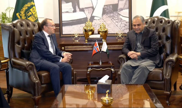 Norway FM Afghan soil being used for attacks against Pakistan