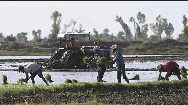 Pakistan, New Zealand agree to strengthen cooperation in agriculture, education