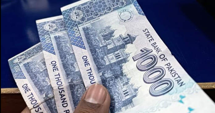 Private sector repays Rs393bn in first six weeks of fiscal year