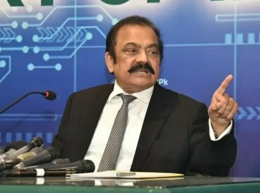 Rana Sanaullah claims PML-N will secure two-thirds majority to form AJK government