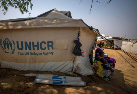 UN refugee agency cuts jobs, budget for 2027 amid funding crunch