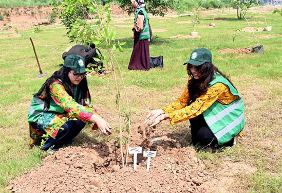 KP Forest Department plants 1.36 million saplings to mark Defence Day