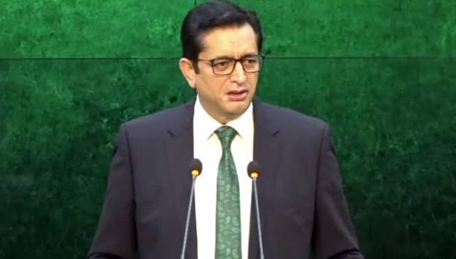 Pakistan-Saudi Arabia defence cooperation continues, condemn Houthi attacks: Foreign Office