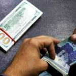 Profit Outflow Falls 13.4% in First Two Months of FY27