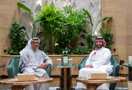 Saudi Crown Prince, UAE Vice President Hold Talks in Riyadh