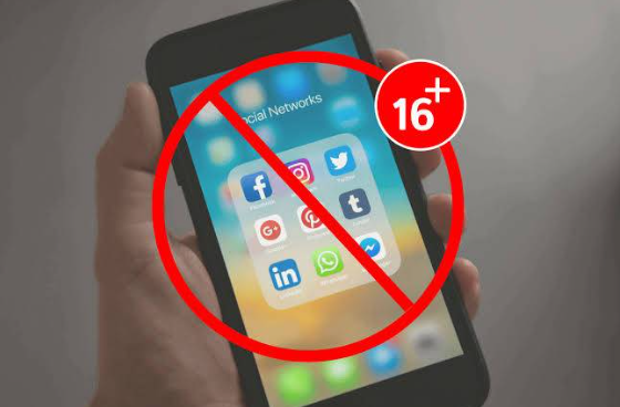 Punjab Assembly backs ban on social media accounts for under-16s