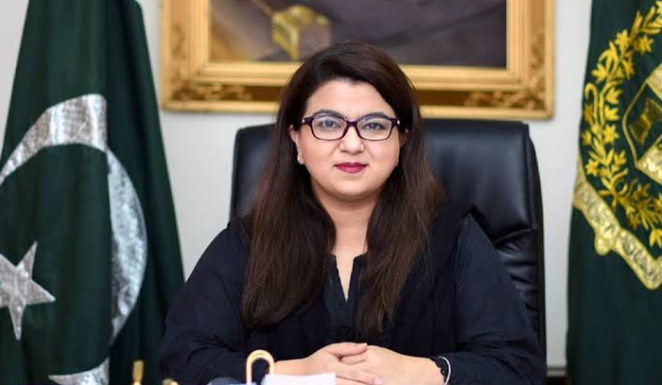 Shortage of skilled workers hampers Pakistan’s IT export growth
