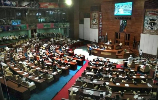 Sindh Assembly opposition, treasury members jointly call for end to daily petroleum price hikes