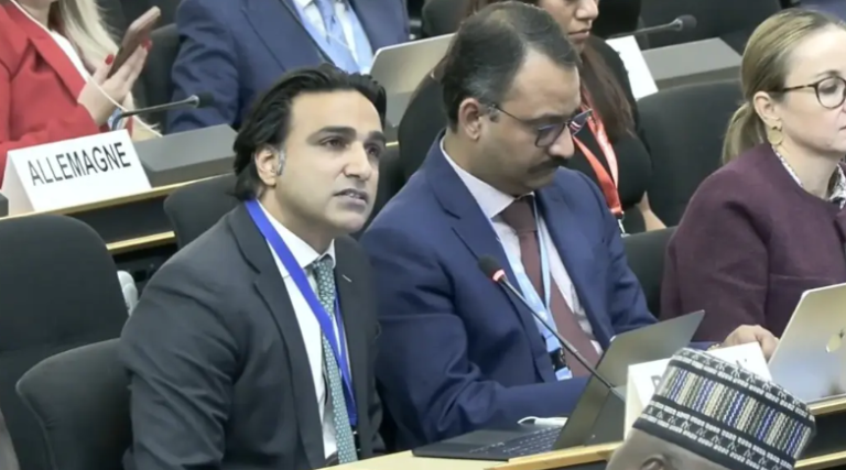 Pakistan Raises Kashmir and Minority Rights Concerns at UN Council